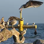 شقة Nadmorski 1 سوبوت